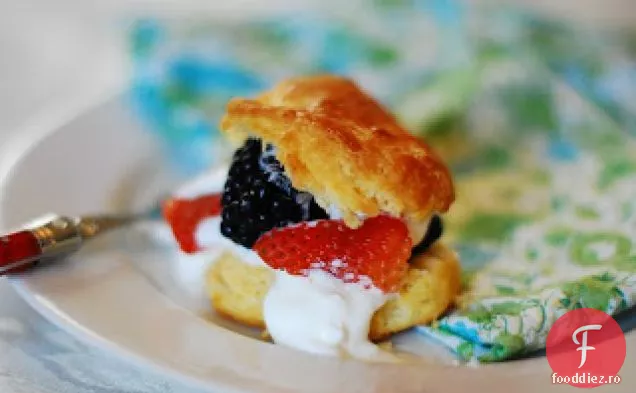 Shortcakes cu căpșuni și mure