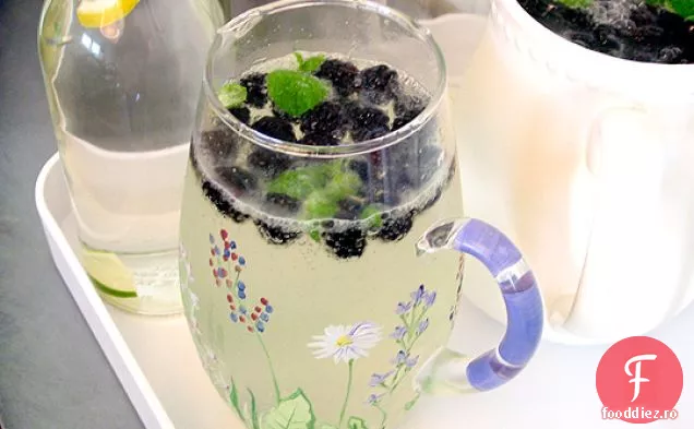 Spritzer De Flori De Soc De Mure Cu Mentă
