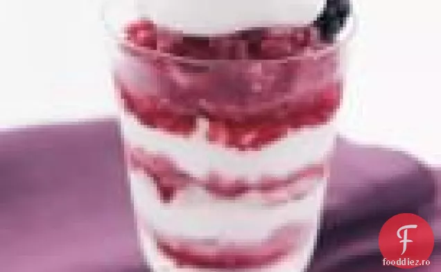 Granita De Mure Și Parfait De Cremă