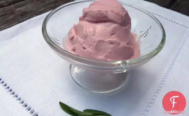 Sage infuzat prune-mure-miere Gelato