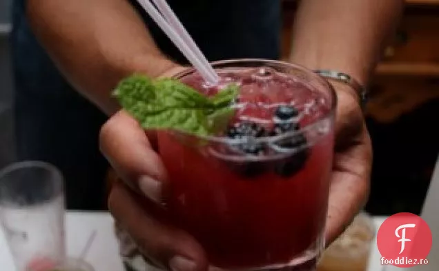 Bacardi Dragon Berry Nectar