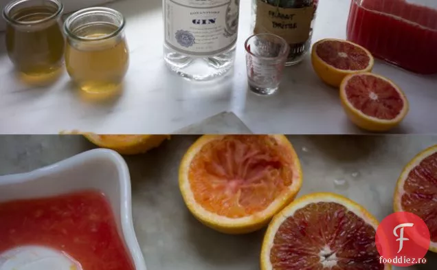 Blood Orange Gin Sparkler