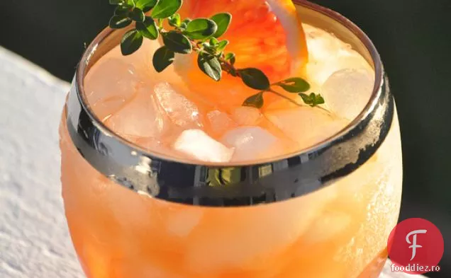 Rețetă De Cocktail Portocaliu De Sânge
