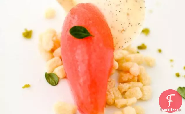 Tuiles De Ciocolată Albă Și Fasole De Vanilie Cu Sorbet De Portocale De Sânge