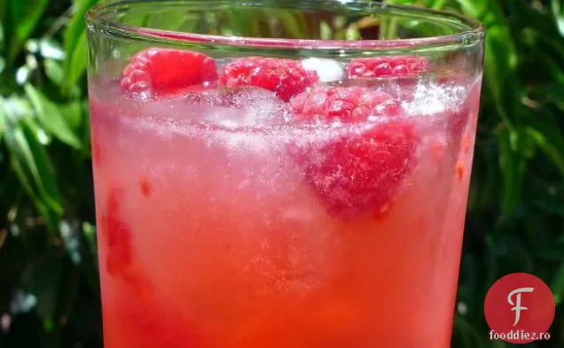 Raspberry Sparkler