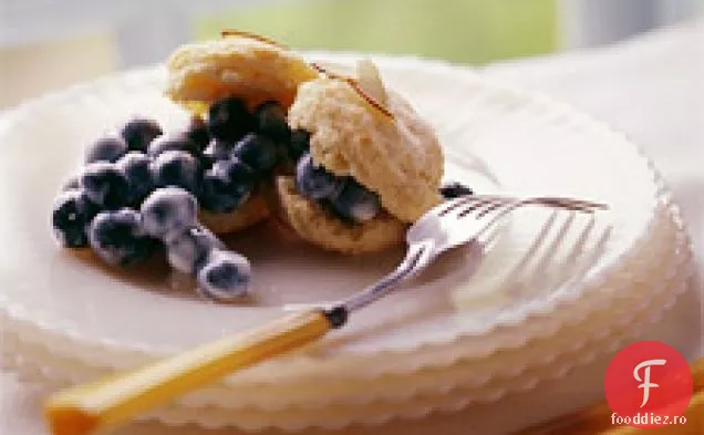 Shortcake Cu Afine