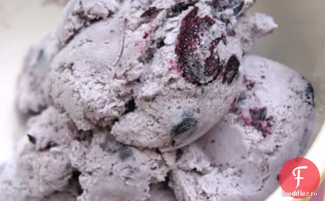 Janine ' s Blueberry Basil Ice Cream cel mai bun Lick! Înghețată 2008