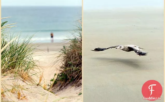 Tartele cu aromă de tarhon de afine sălbatice, ulei de migdale crustă dulce