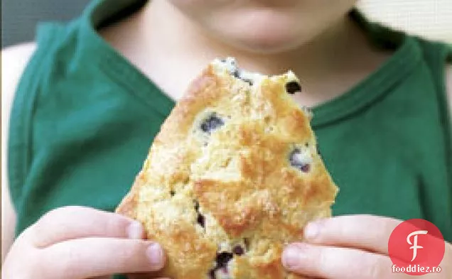 Biscuiți Cu Afine