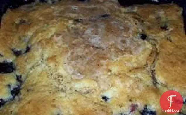 Blueberry Crisp I