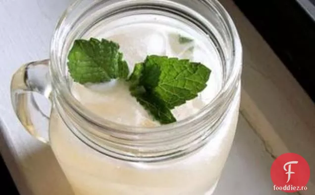 Melon Cooler