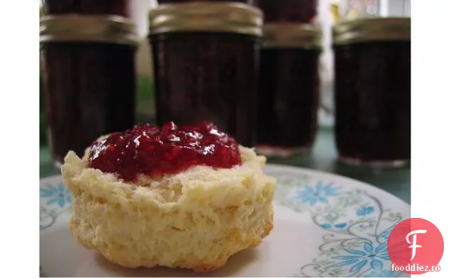 Insula Jam
