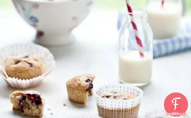 Înghețată Prăjită Cu Nucă De Cocos