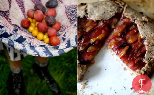 Plum Yummy Galette