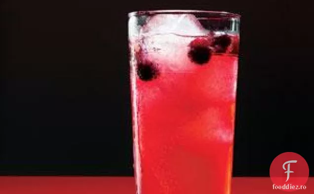 Vodka Cranberry Cooler