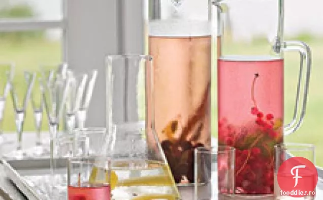 Schnapps cu coacăze roșii