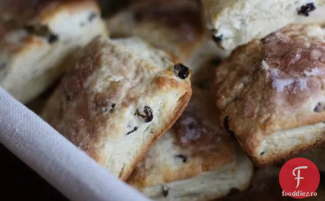 Biscuiți Clasici De Coacăze