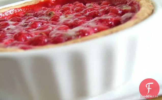Tarta Cu Coacaze Rosii