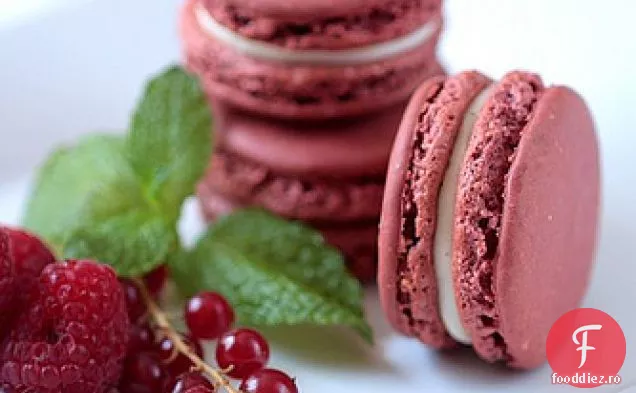 Macarons Cu Boabe Roșii
