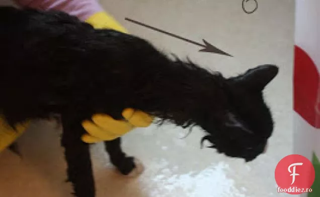 Mango fără nuci~tarte cu var