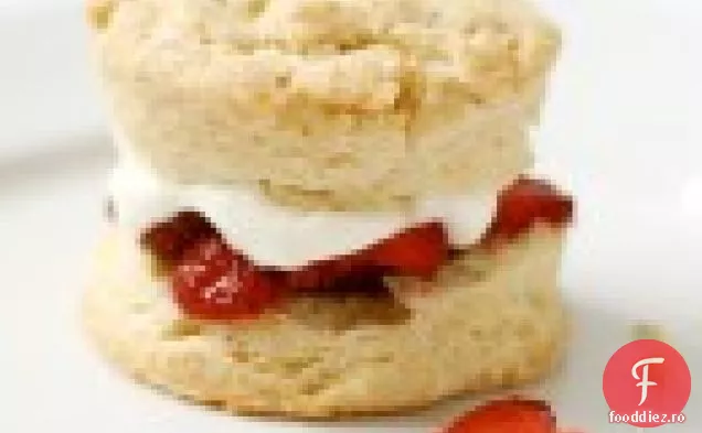 Shortcake Cu Căpșuni Cu Biscuiți Cremă