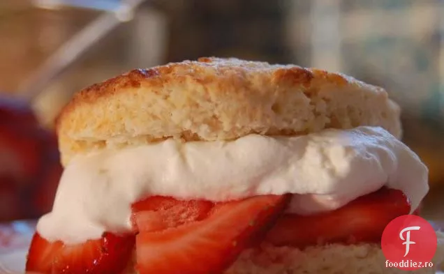 Shortcake Cu Căpșuni