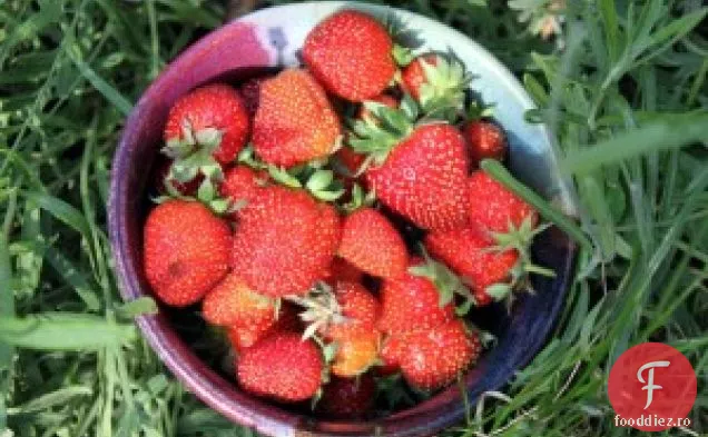 Shortcake Cu Căpșuni