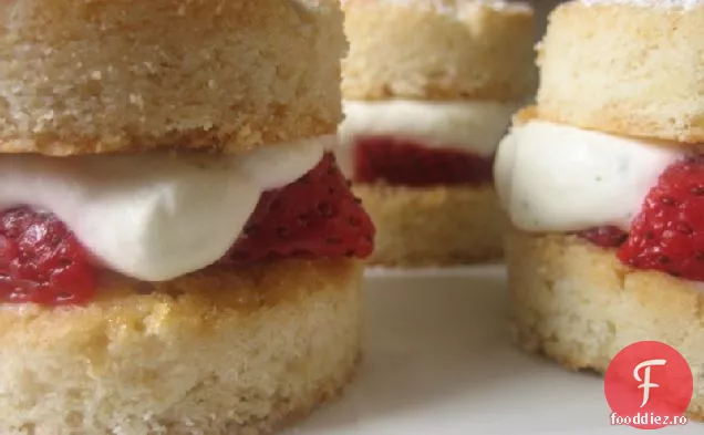 Shortcakes Cu Căpșuni Cu Cremă De Tarhon