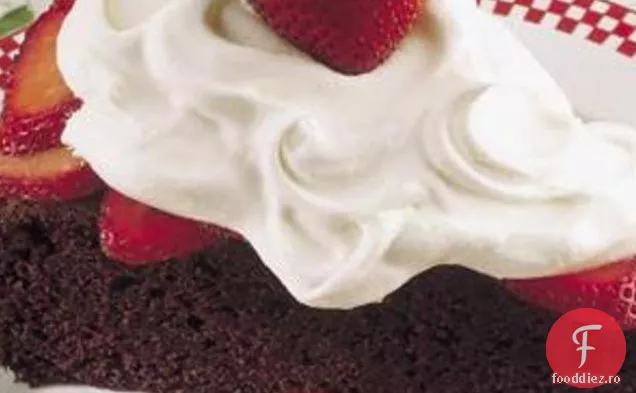Shortcake Cu Căpșuni De Ciocolată