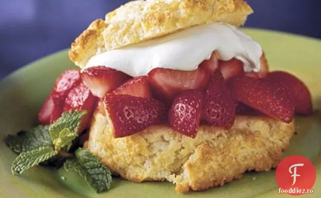 Shortcake Clasic Cu Căpșuni