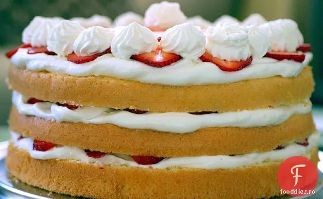 Shortcake Cu Șifon De Căpșuni