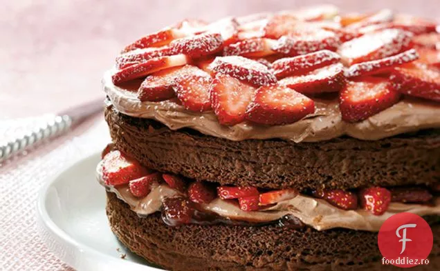 Shortcake Cu Căpșuni Cu Ciocolată Dublă