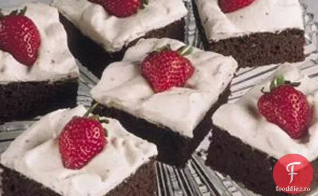 Chocolate-strawberry Chiffon Squares