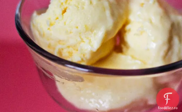 Tart Mango Iaurt Congelat
