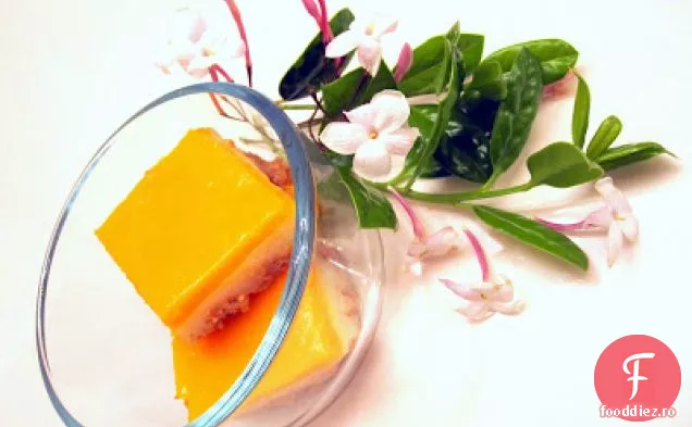 Budinca De Mango Magic De Vară