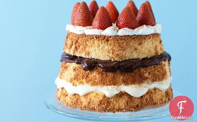 Tort Turn Napolitan