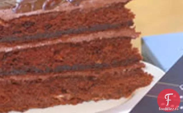 Tort Cu Strat De Ciocolată