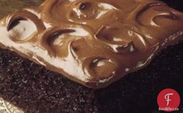 Tort De Ciocolată Neagră Adâncă