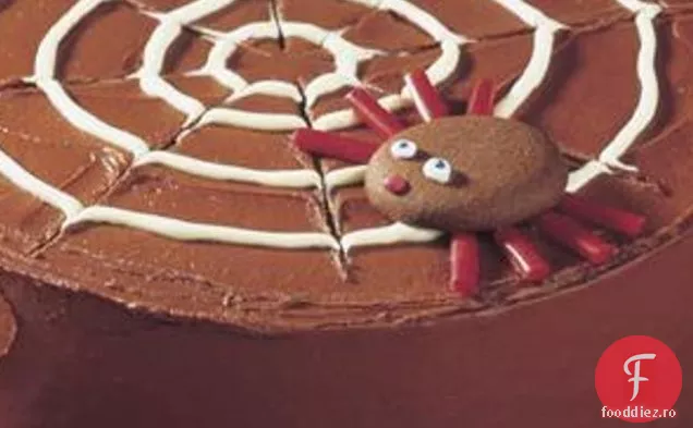 Tort De Pânză De Păianjen Cu Ciocolată
