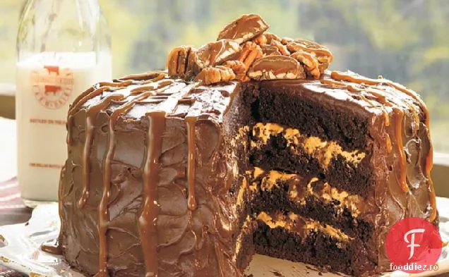 Tort De Broască Țestoasă Cu Ciocolată