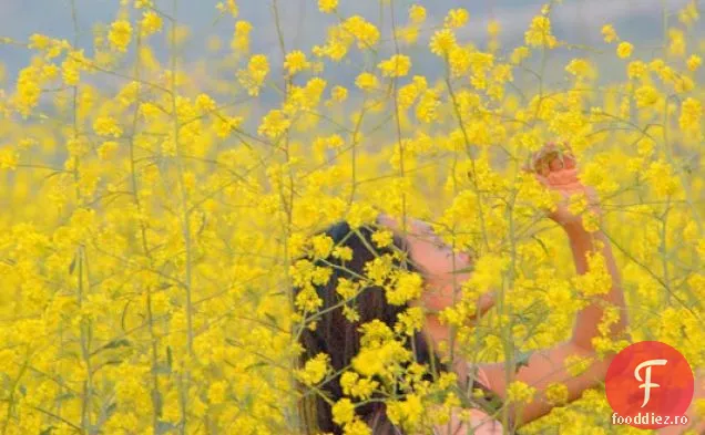 Rețetă De Salată Verde Cu Creveți Și Muștar La Grătar