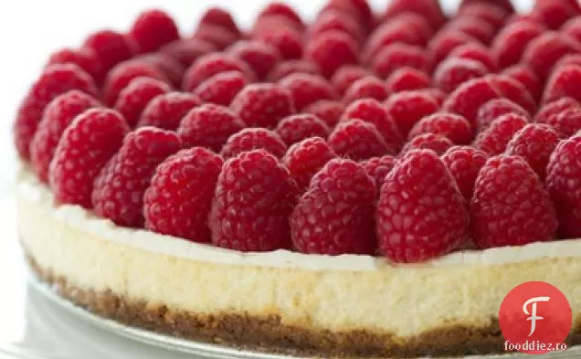 Cheesecake Cu Fructe De Padure Proaspete