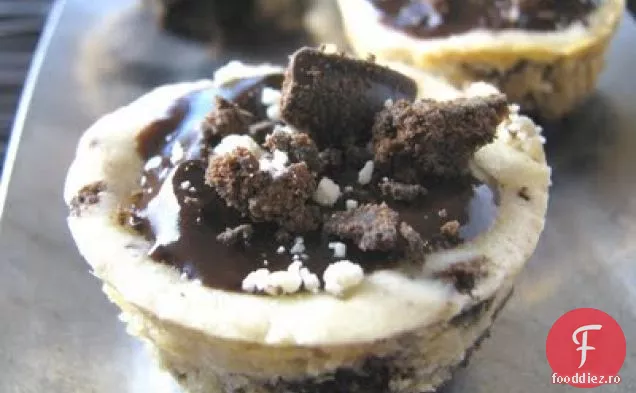 Girl Scout Subțire Menta Cookie Cheesecake Cupe