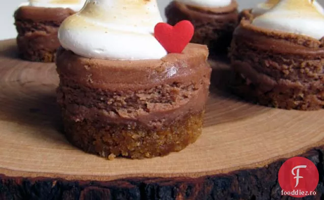 Mini S ' mores Cheesecakes