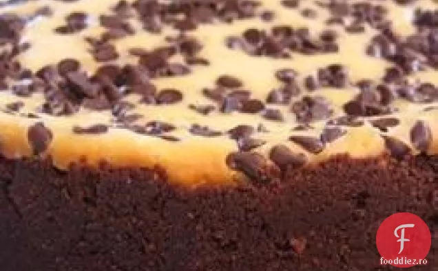 Chocolate Chip Cheesecake I
