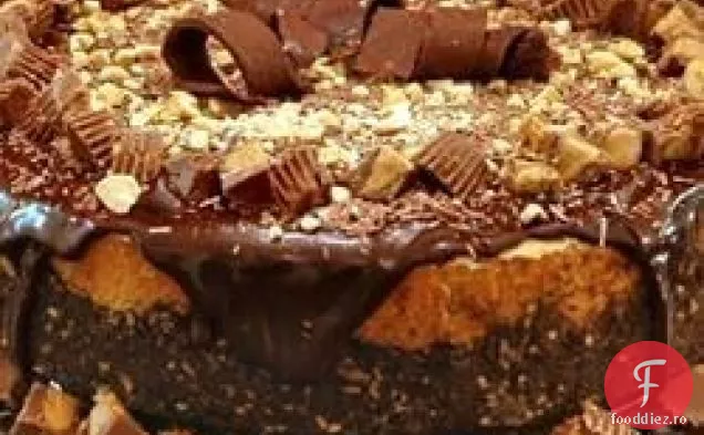 Cheesecake-ul preferat al micului Mickey