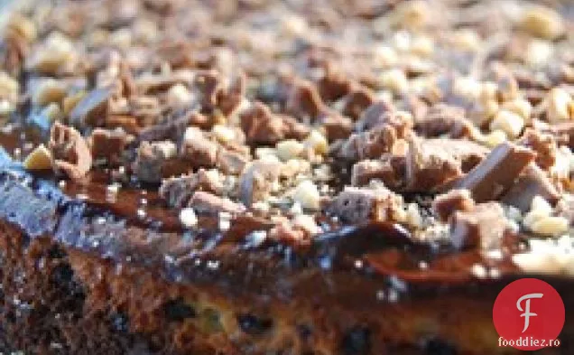 Cheesecake Ceresc Cu Ciocolată Și Alune