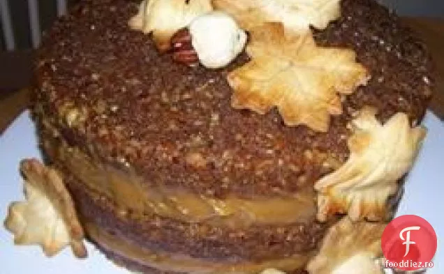 Tort de plăcintă cu nuci pecan III