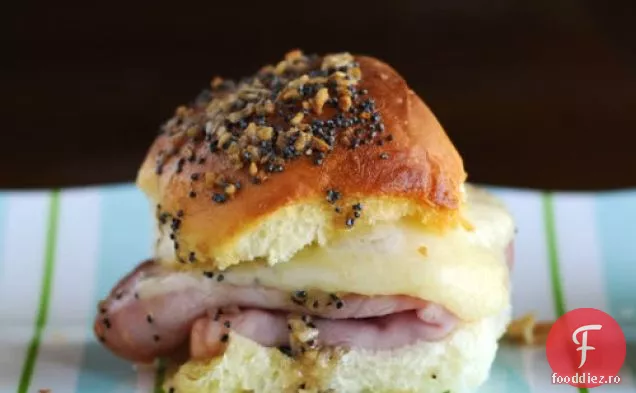 Cuptor Sunca Sammies