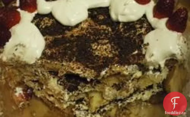 Tiramisu Iii